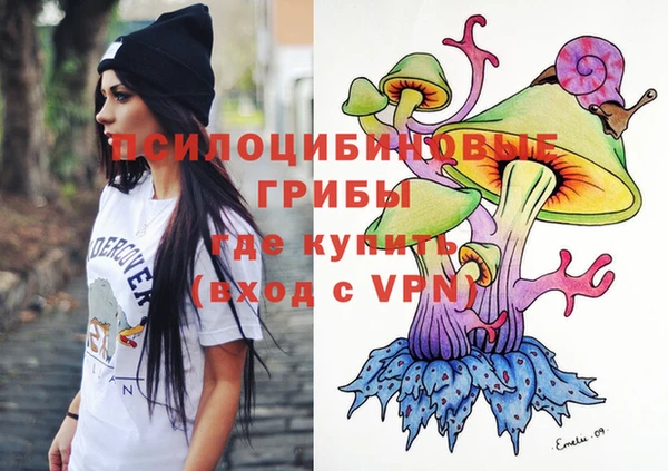 дурь Алексеевка