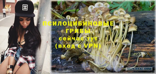 гашиш Дмитров