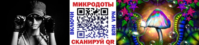 купить наркотики цена  kraken   Галлюциногенные грибы Psilocybe  Ардатов 